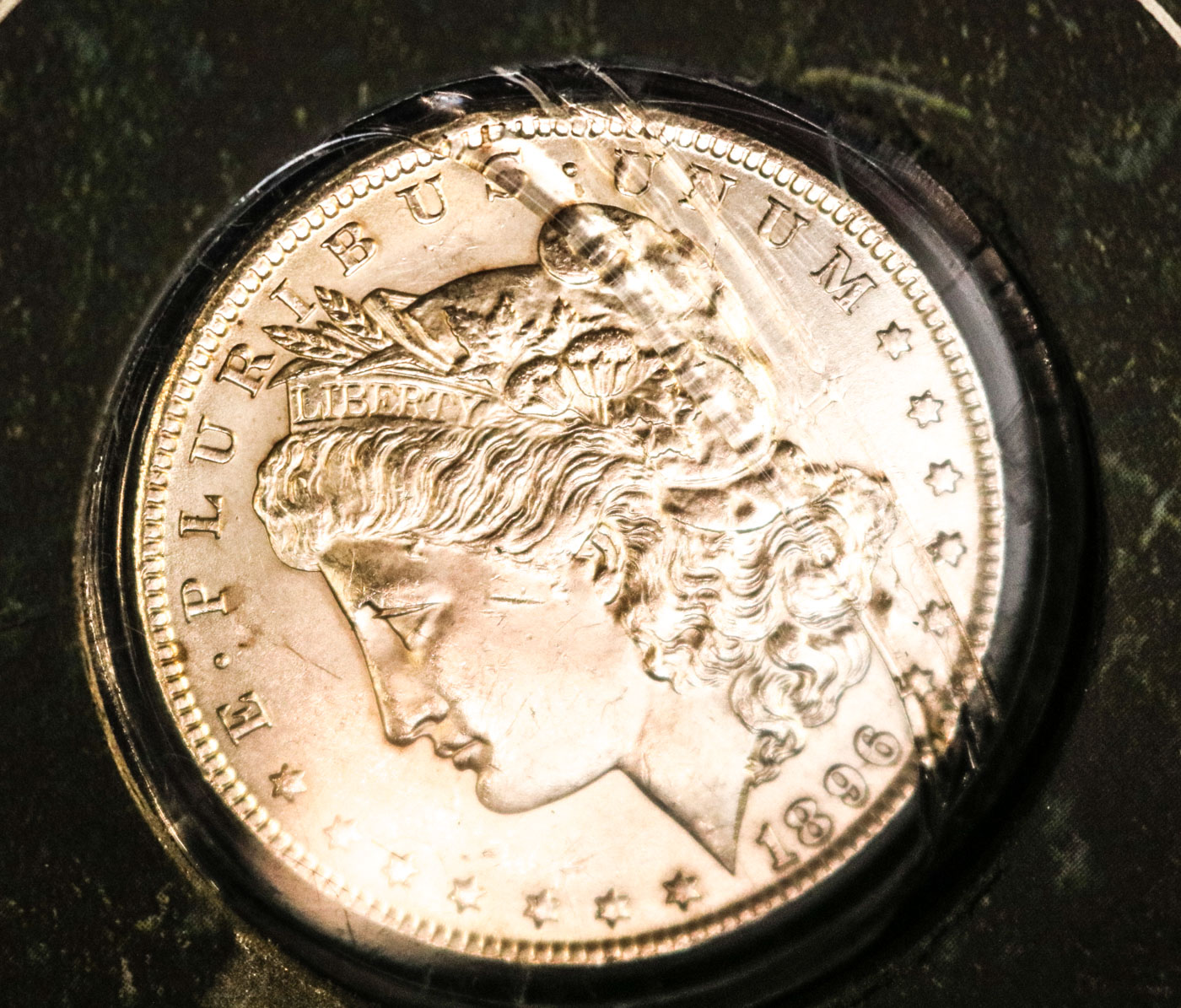 Collection of Sixteen Uncirculated Morgan Silver Dollars