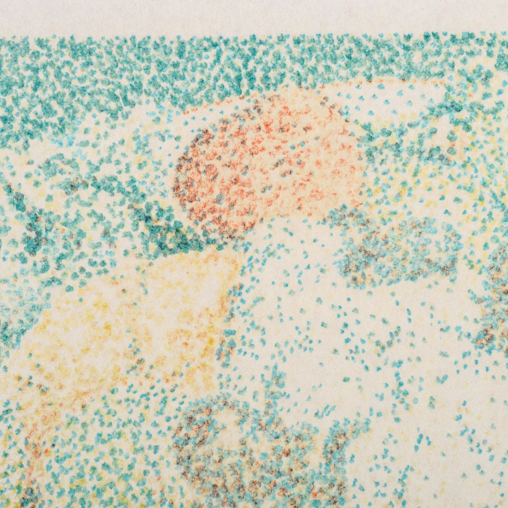 Jerry Wilkerson Pen and Ink Drawing "Fruit Salad"