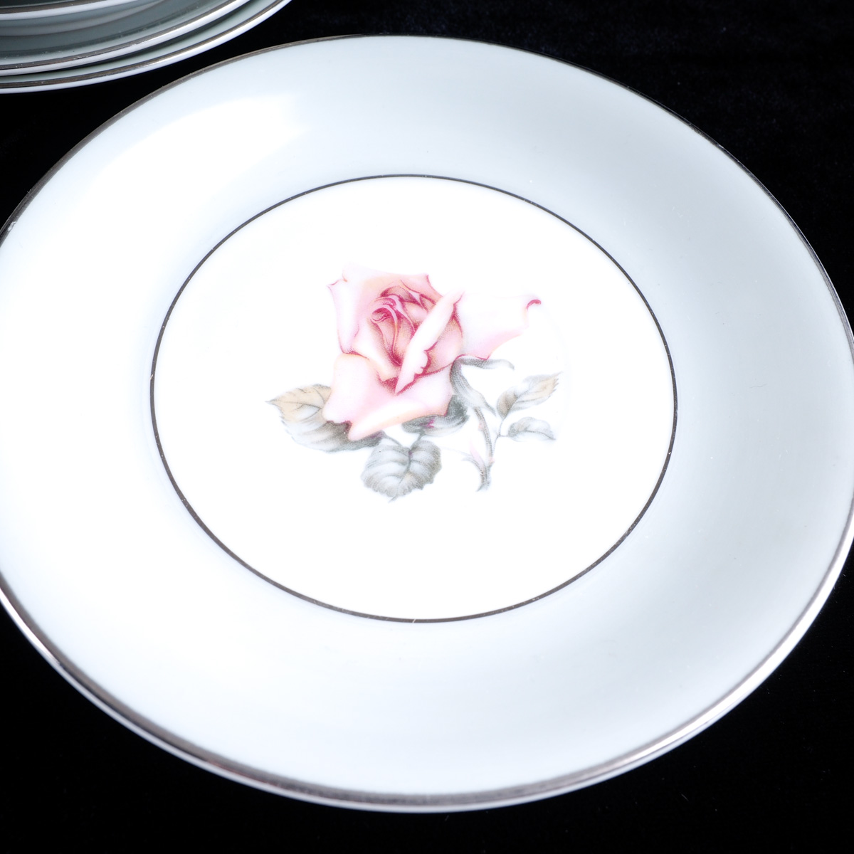 Halsey "Damask Rose" Japanese China Dinner Service
