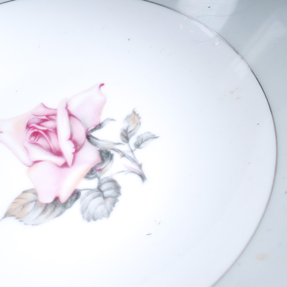 Halsey "Damask Rose" Japanese China Dinner Service