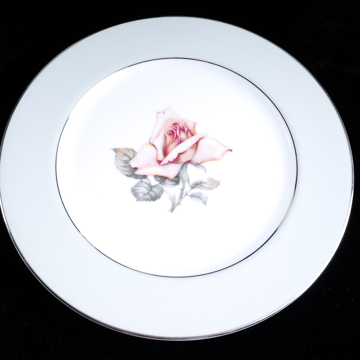 Halsey "Damask Rose" Japanese China Dinner Service