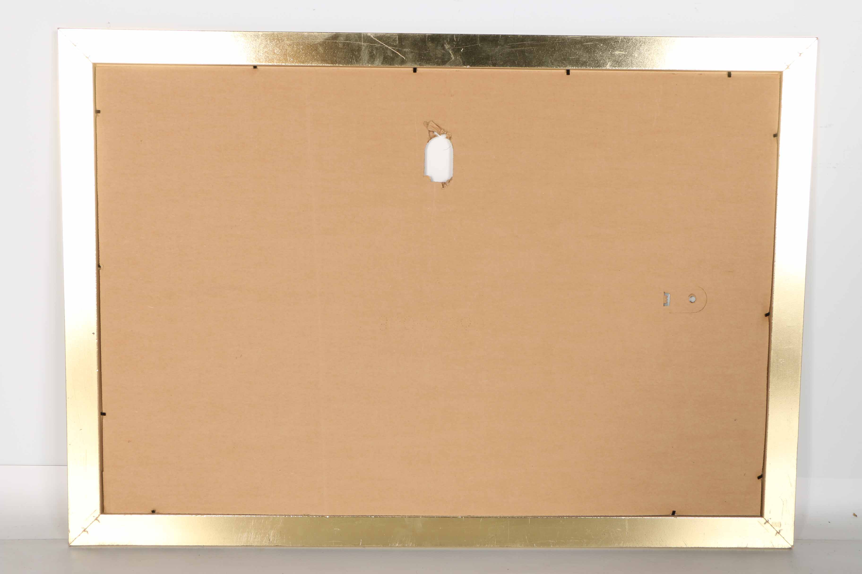 John Martin Jensen Offset Lithograph of Tropical Fish