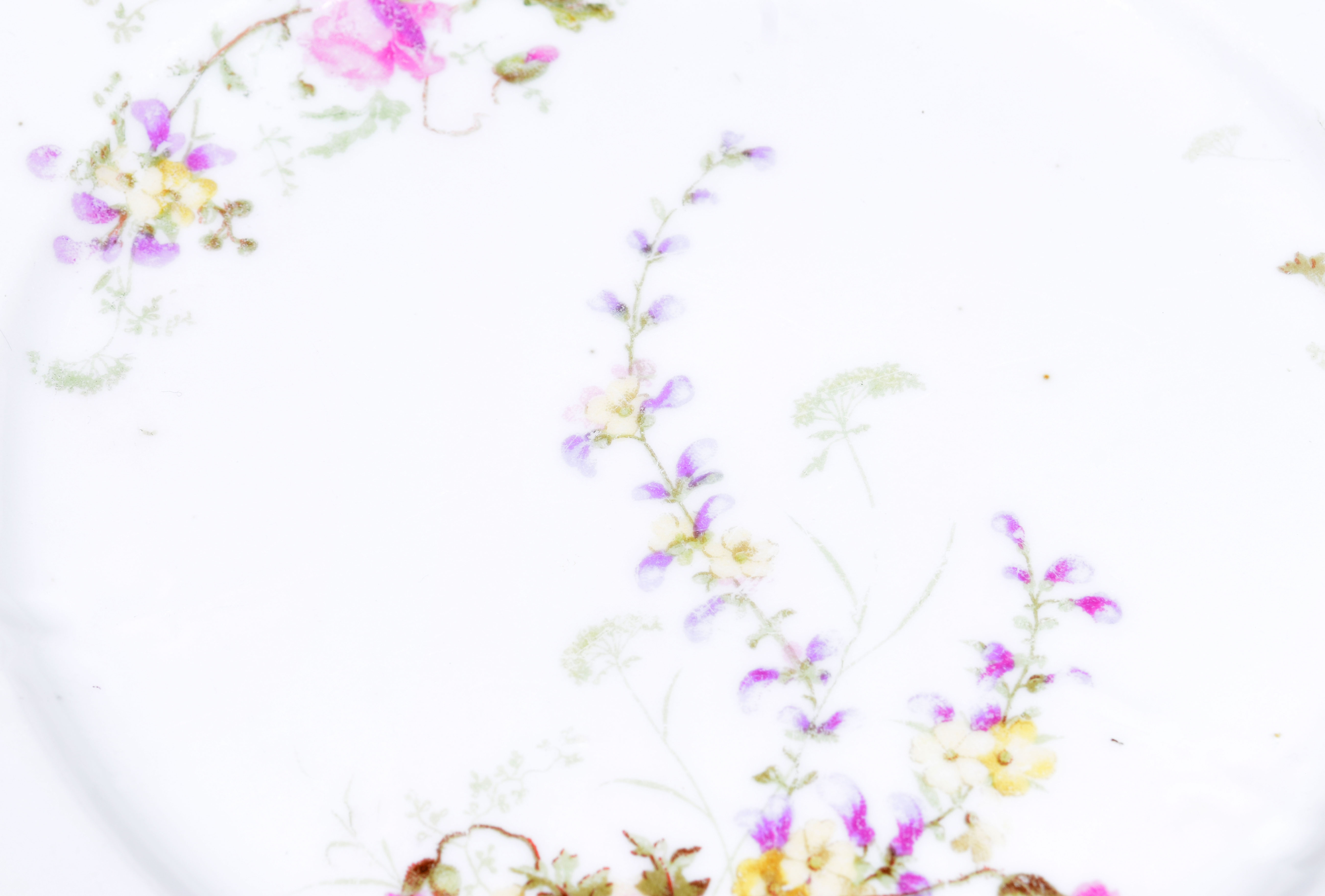 Antique KPM China Plate