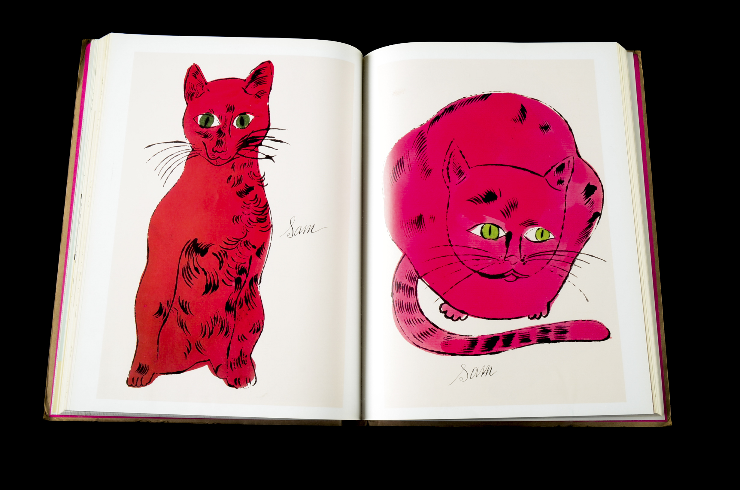 "Pre-Pop Warhol" First Edition Hardcover