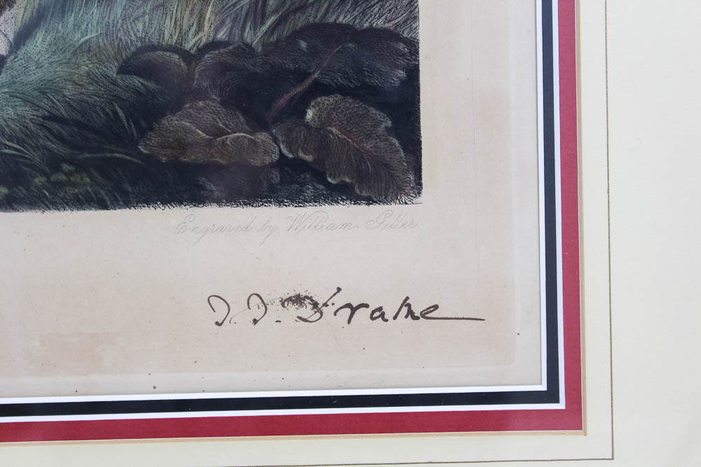 Antique William Giller Original Engraving After a William Barraud Painting