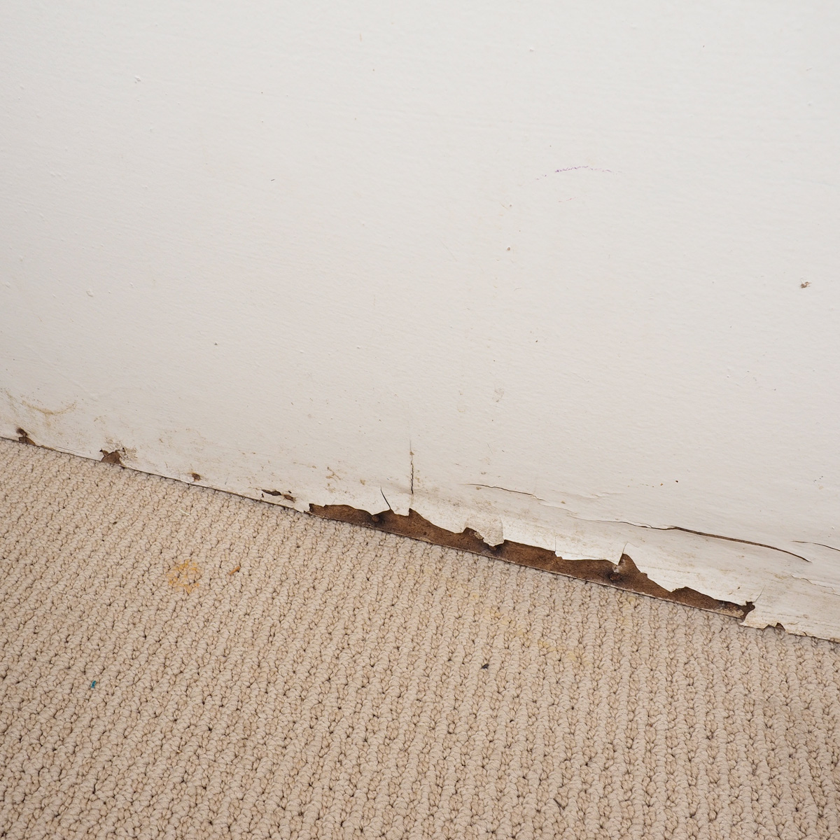 Hand Painted Vintage Children's Toy Chest