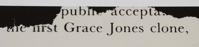 Pair of Prints on Celluloid Acetate of Grace Jones with "Nightclubbing" Poster