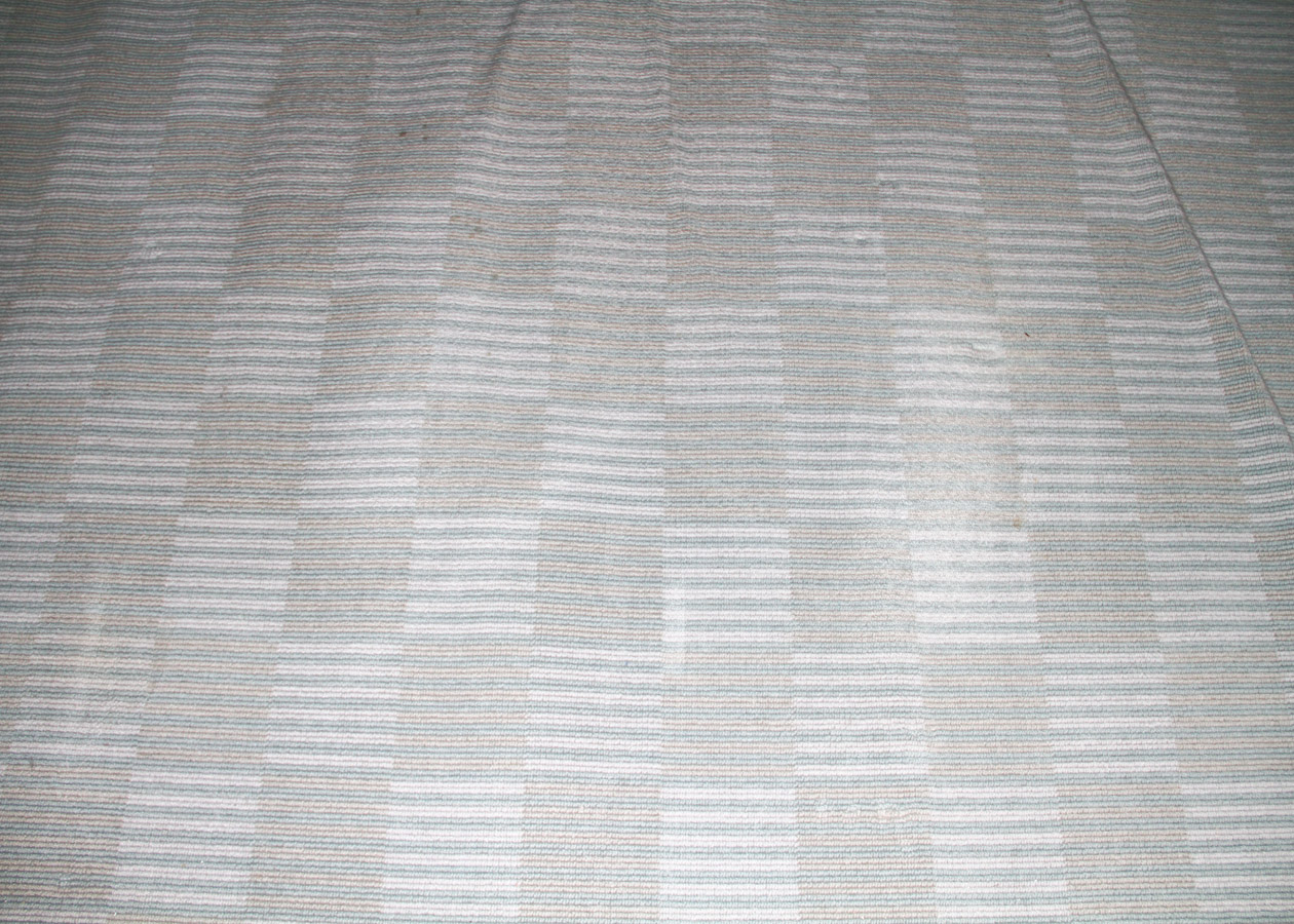 Machine Woven Modern Area Rug