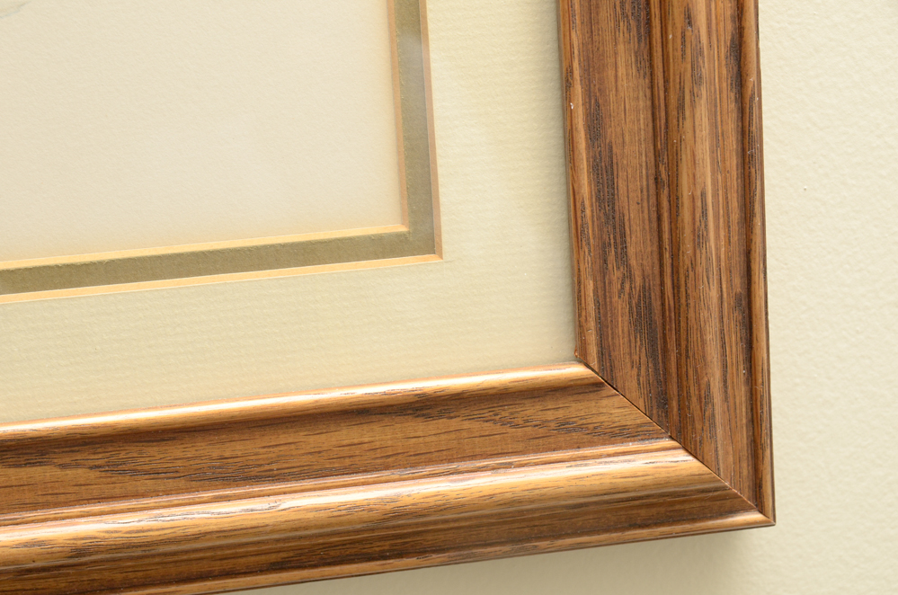 Offset Lithograph after Roger Tory Peterson