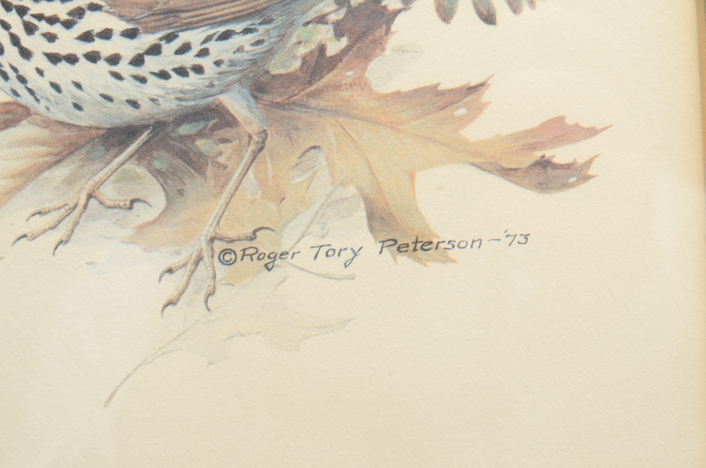 Offset Lithograph after Roger Tory Peterson