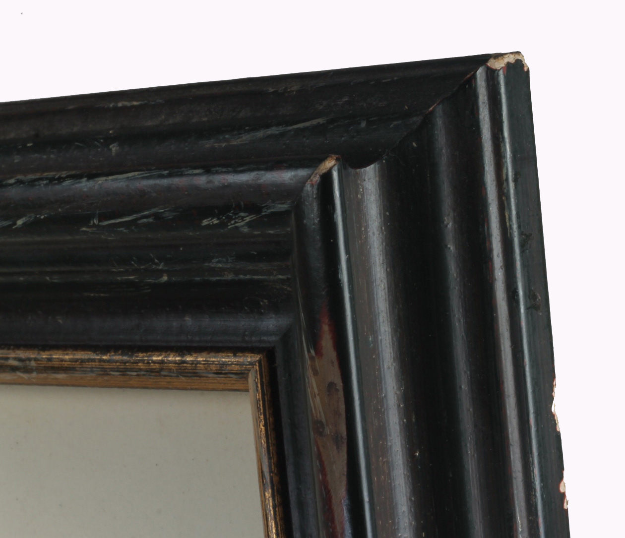 Framed Modern Hand Tinted Engraving of J.W. Weinmann "Poppies", 1745