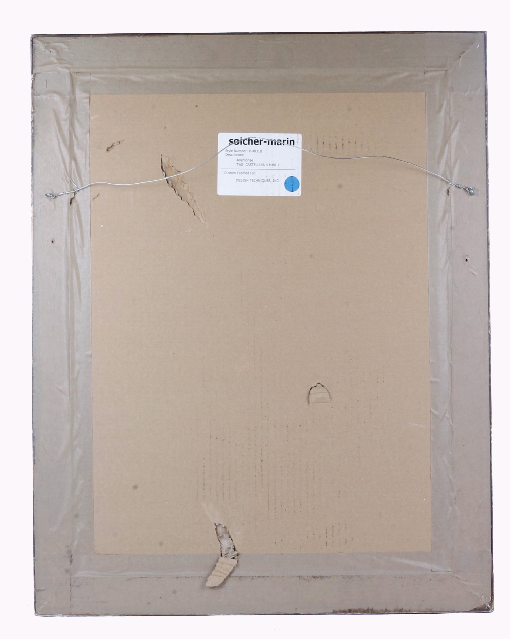 Framed Modern Hand Tinted Engraving of J.W. Weinmann "Poppies", 1745