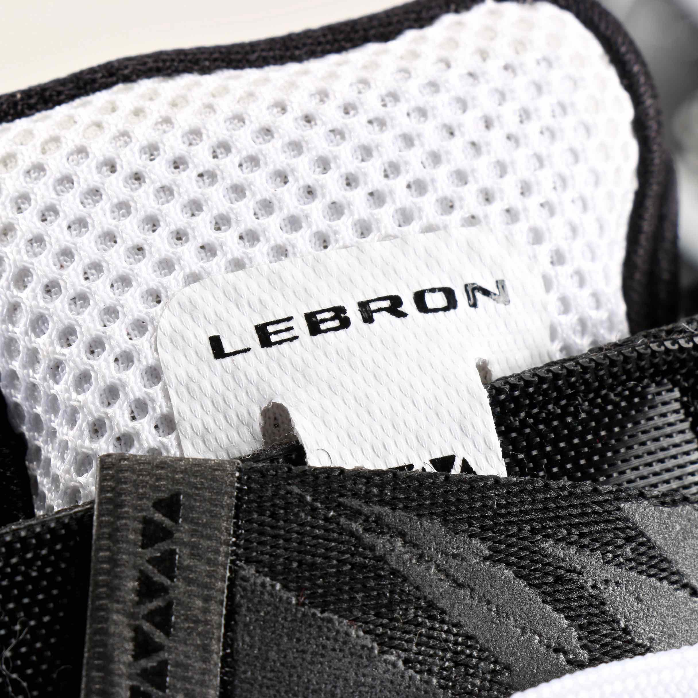 Men's Nike Lebron Soldier IX Basketball Shoes