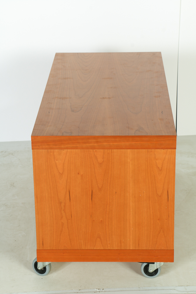 Modern Entertainment Center