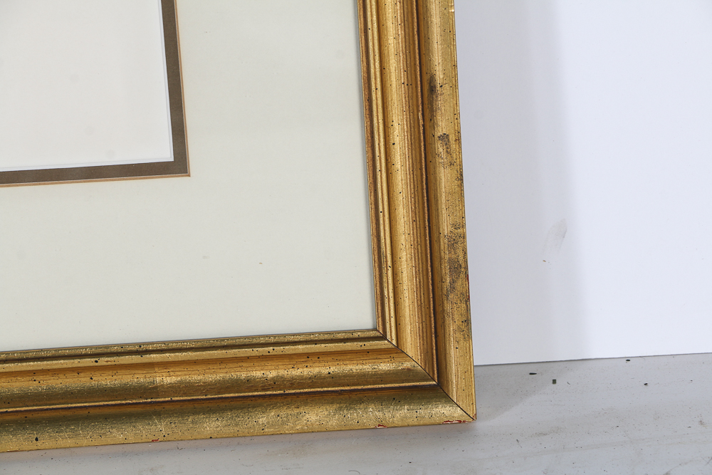 John A. Ruthven Limited Edition Lithograph "Miami Indian II"