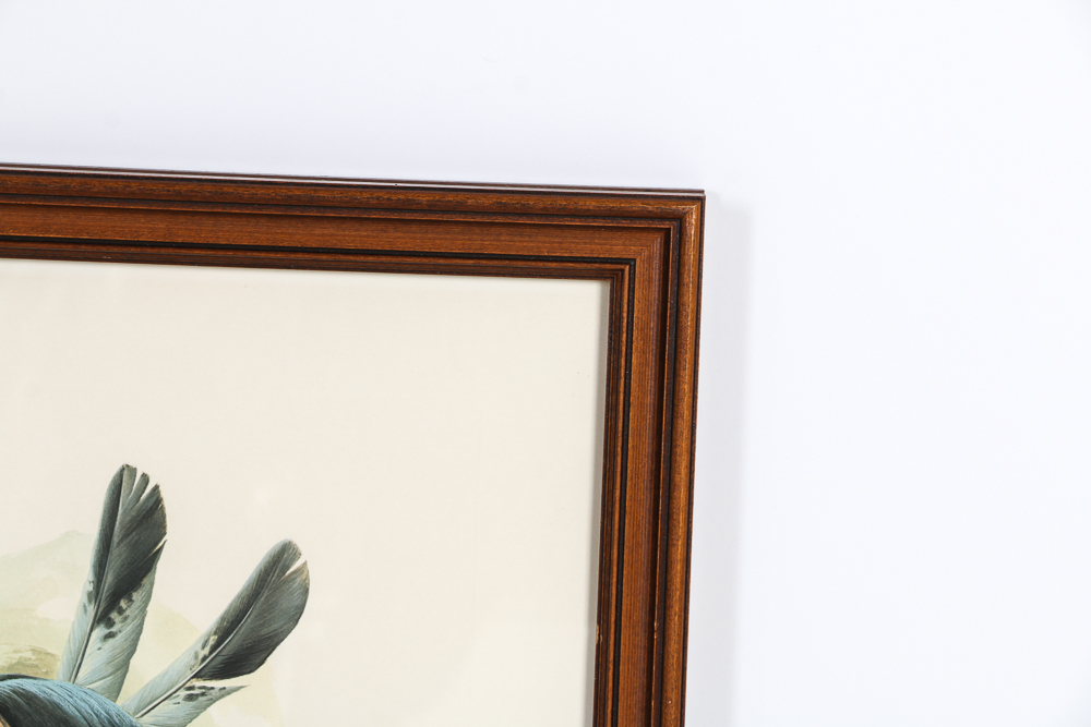 John A. Ruthven Signed Limited Edition Lithograph "Miami Indian II"