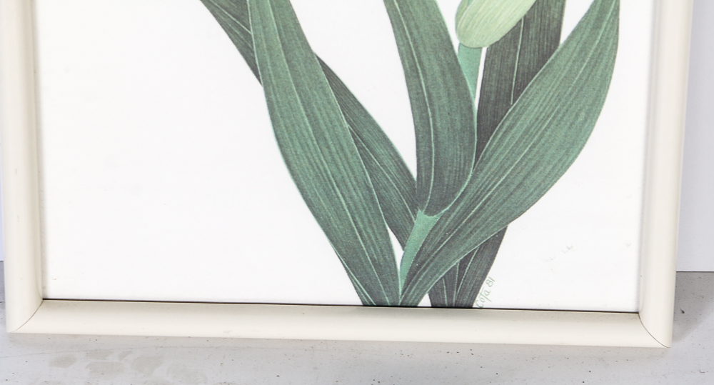 Ed Cota Framed Offset Lithograph of Irises