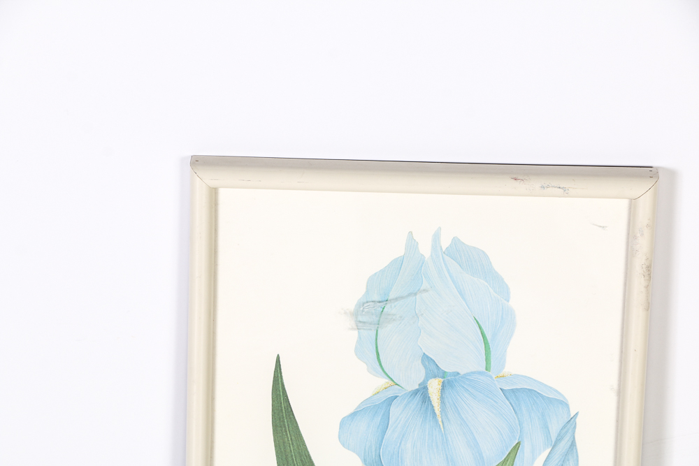 Ed Cota Framed Offset Lithograph of Irises