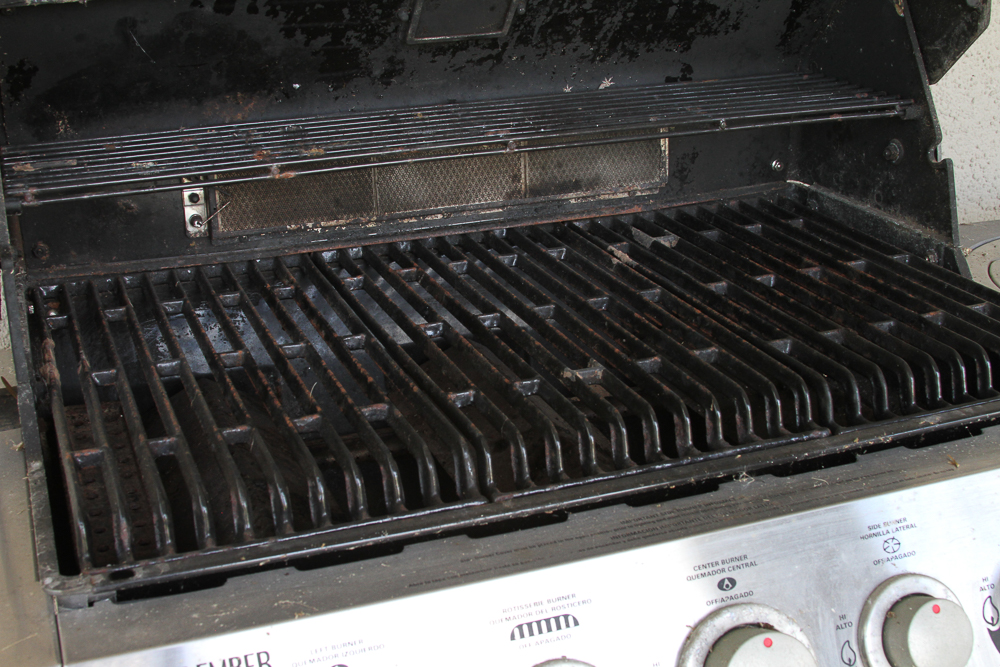 Blue Ember Gas Grill