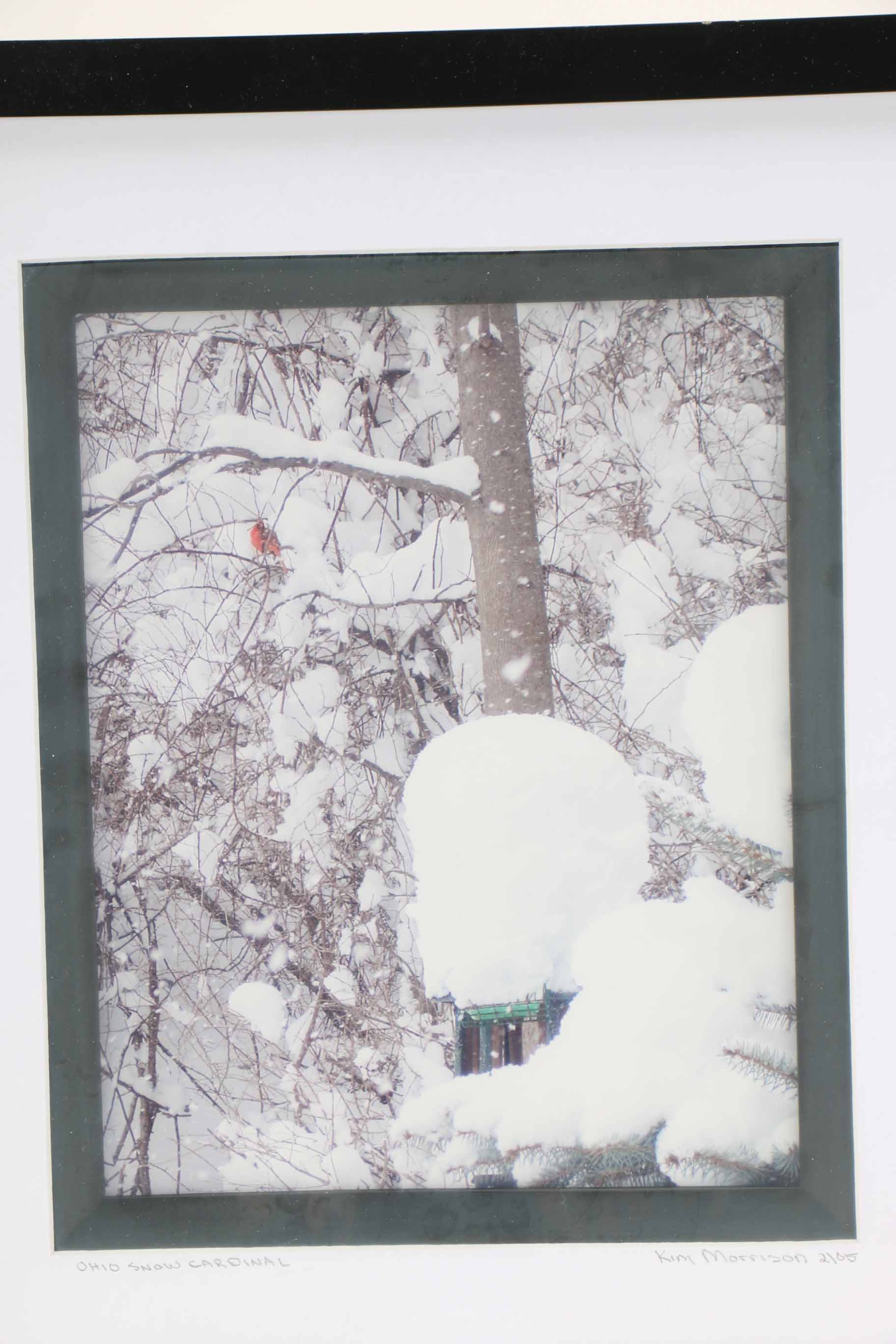 Cardinal Decor Items