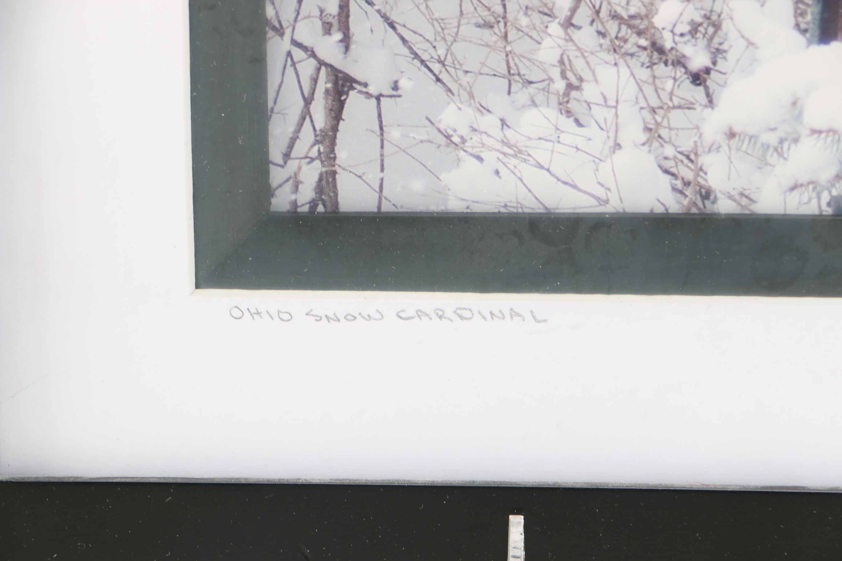 Cardinal Decor Items