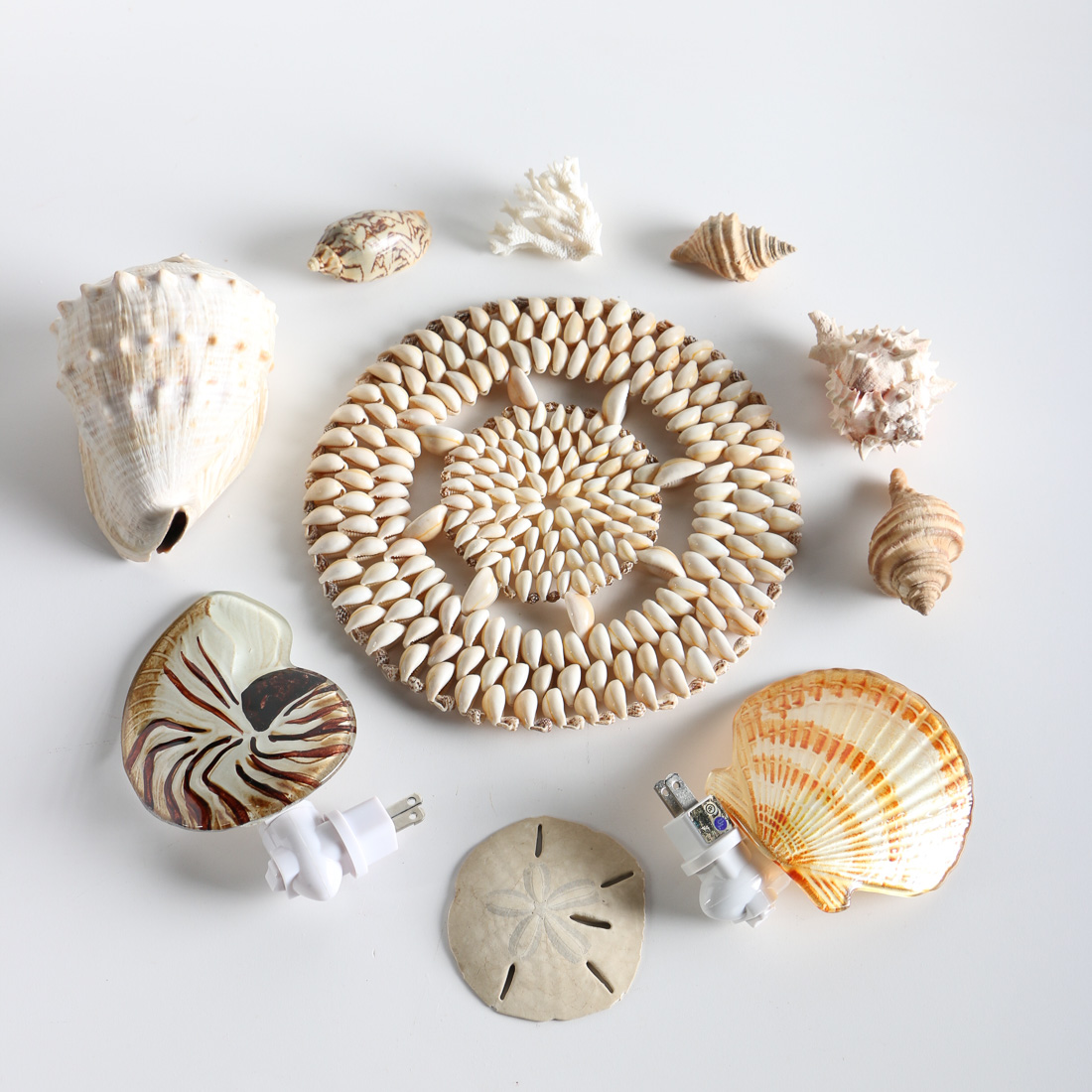 Collection of Shell Items