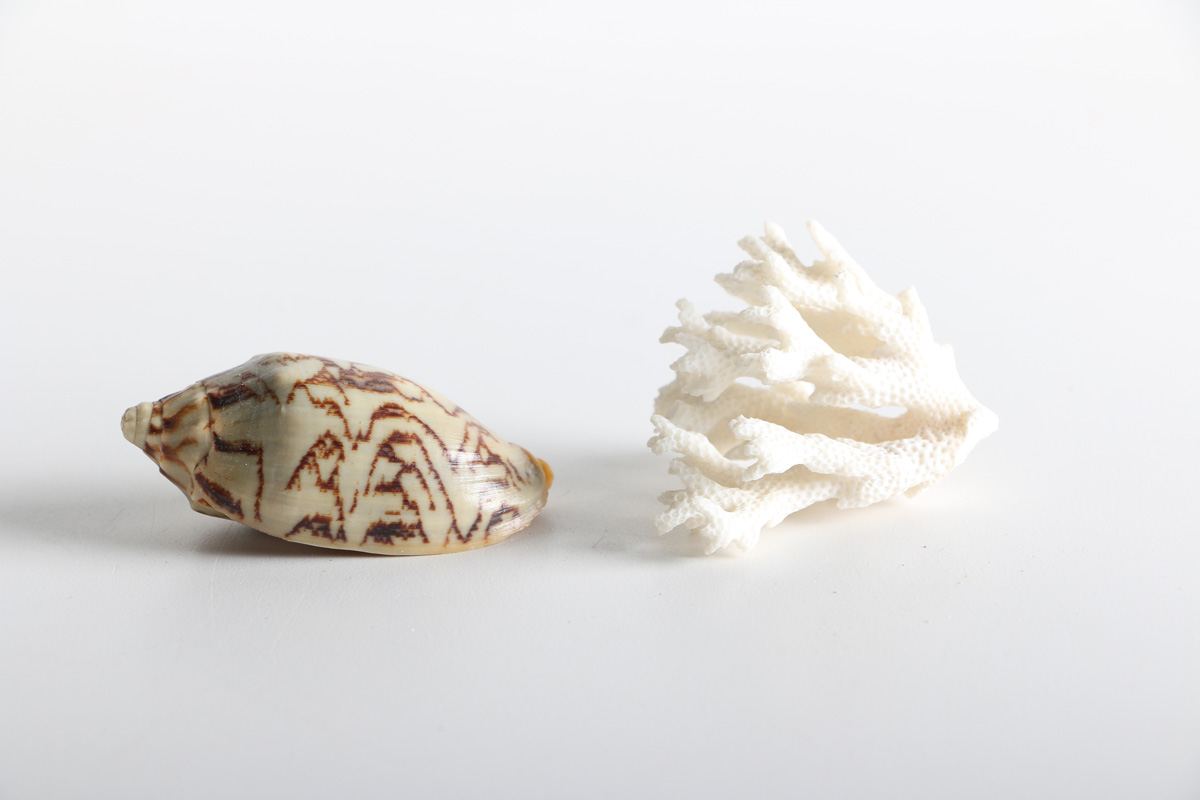 Collection of Shell Items