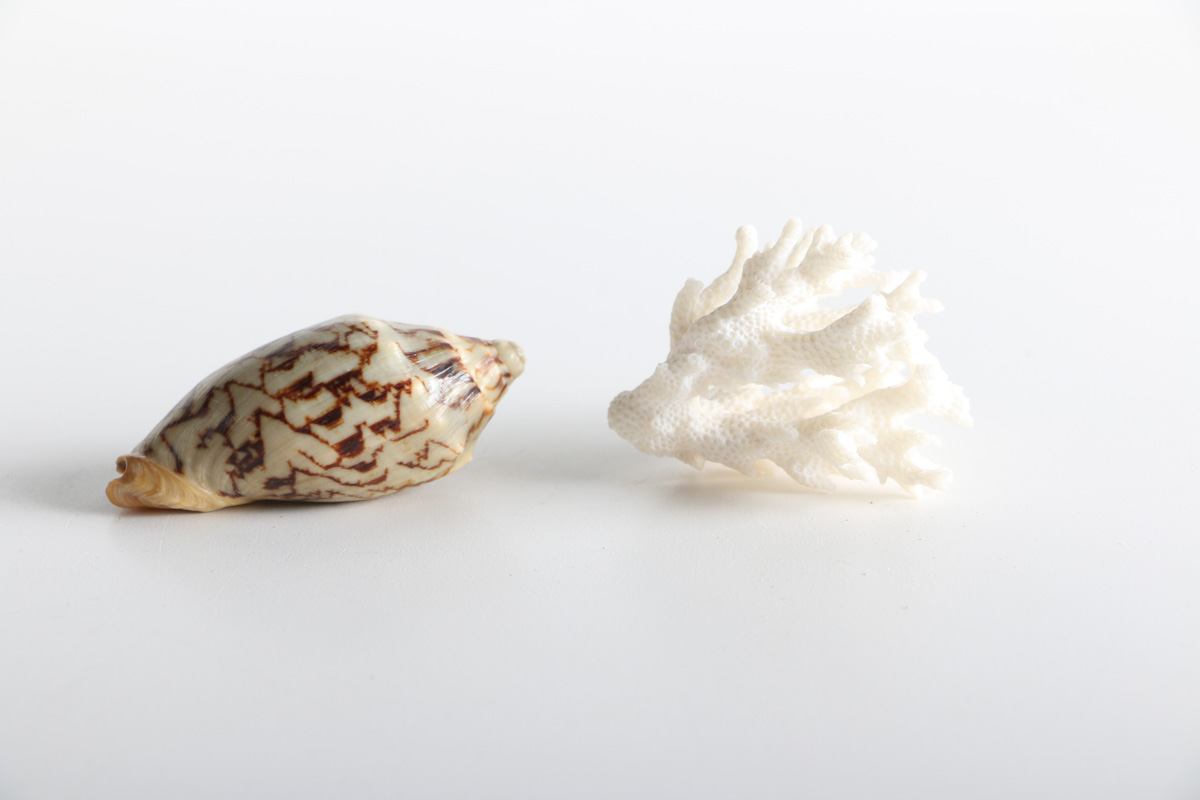Collection of Shell Items