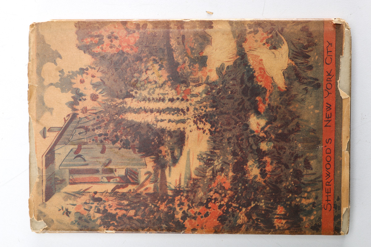 Group of Vintage and Antique Books