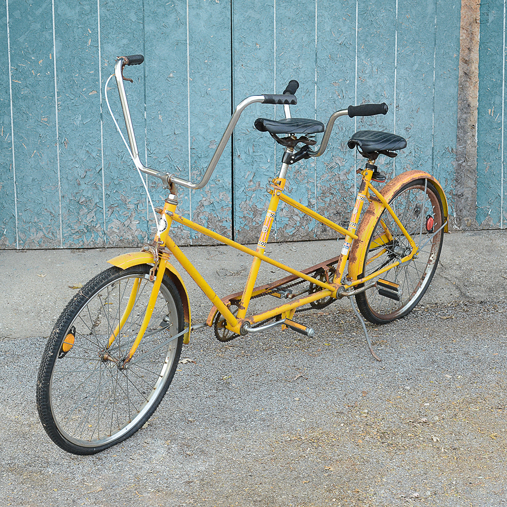 Vintage sears tandem bike top