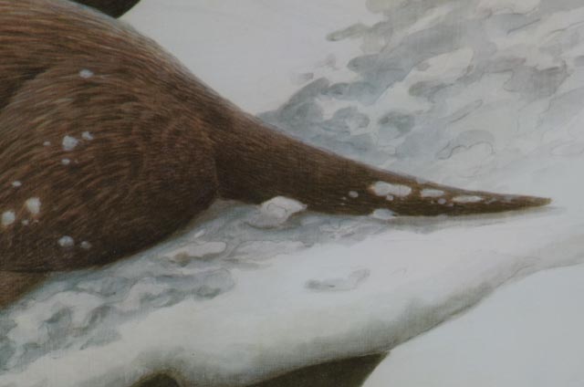 John Ruthven Signed Limited Edition Print "River Otters"