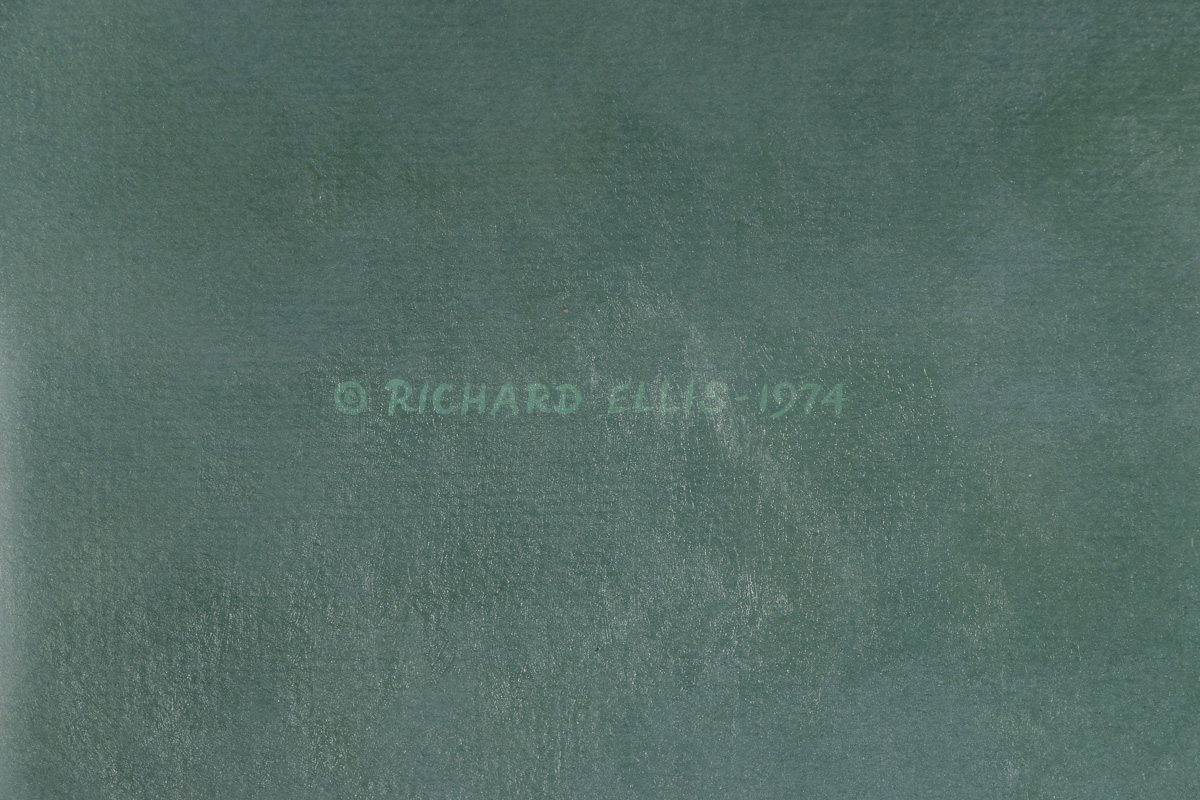 Richard Ellis Acrylic on Canvas Board "Megalodon"