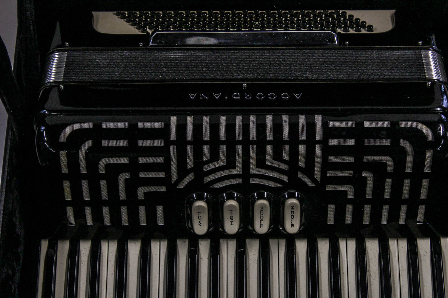 Vintage Excelsior Professional Accordion With Case