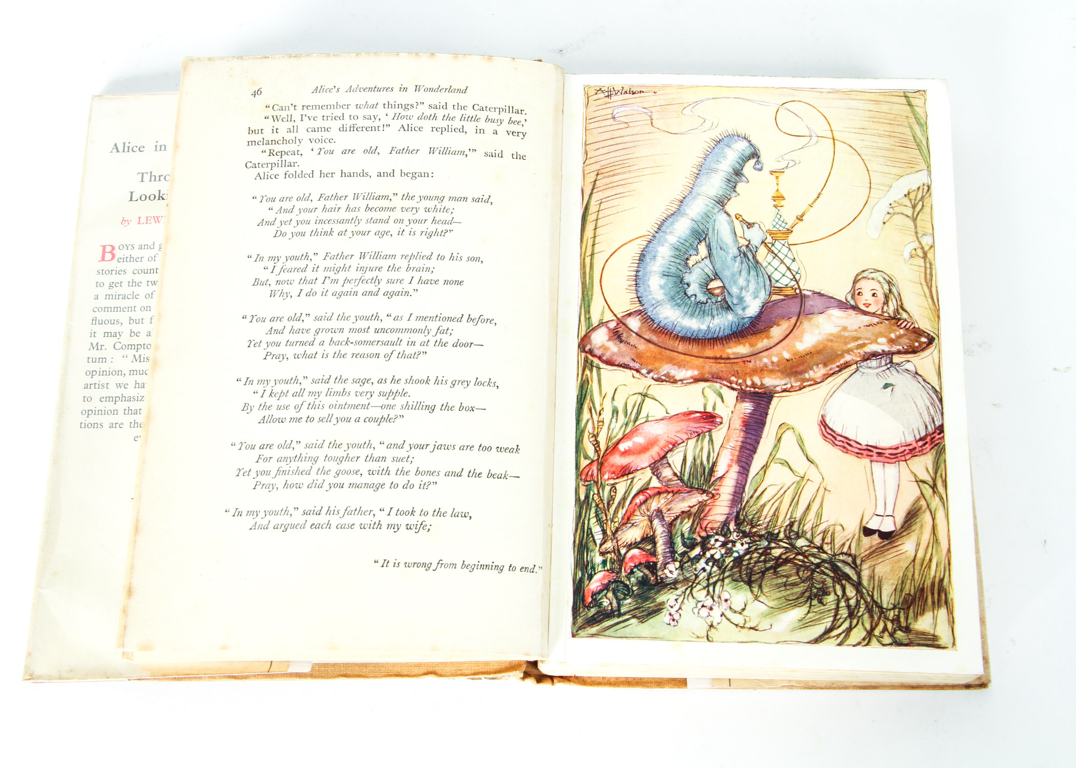 "Alice's Adventures In Wonderland and Through the Looking-Glass"  by Lewis Caroll