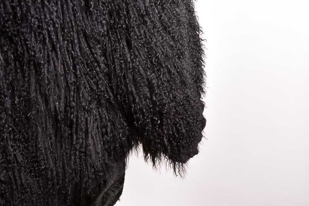 Tibet Lamb and Rabbit Black Fur Coat