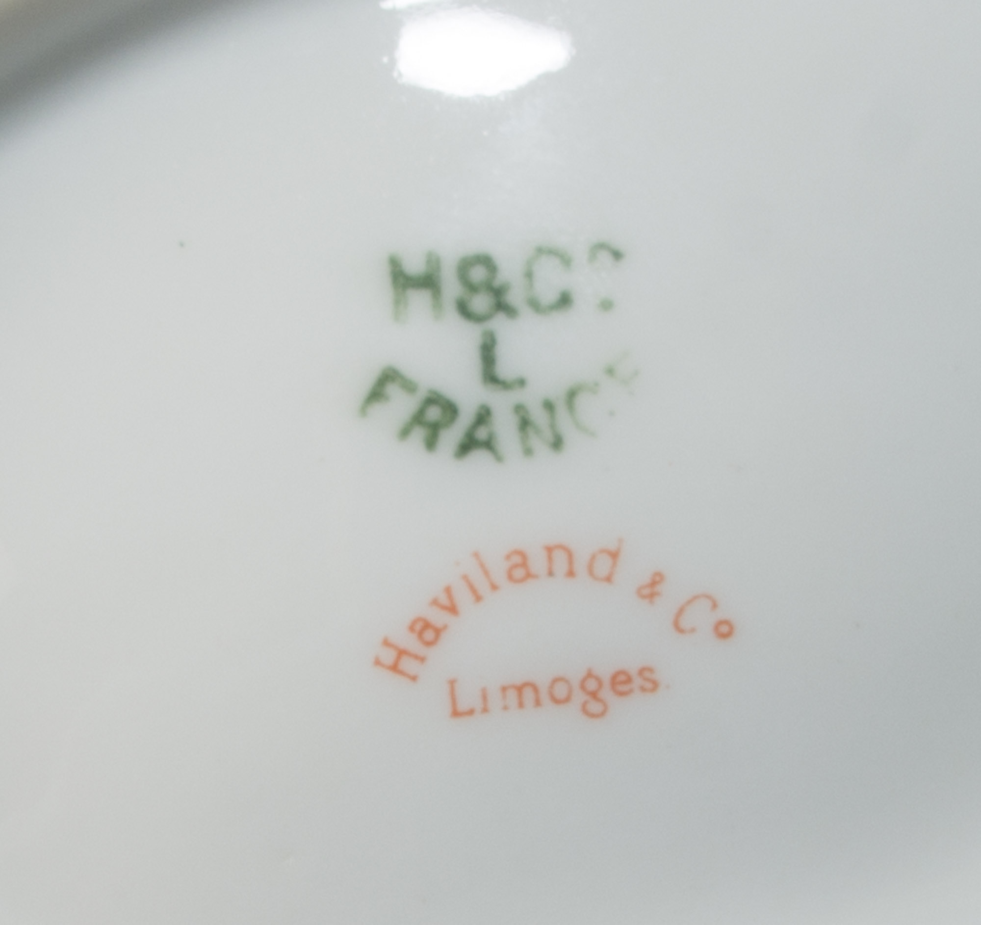 Haviland & Co Limoges Oyster Plates