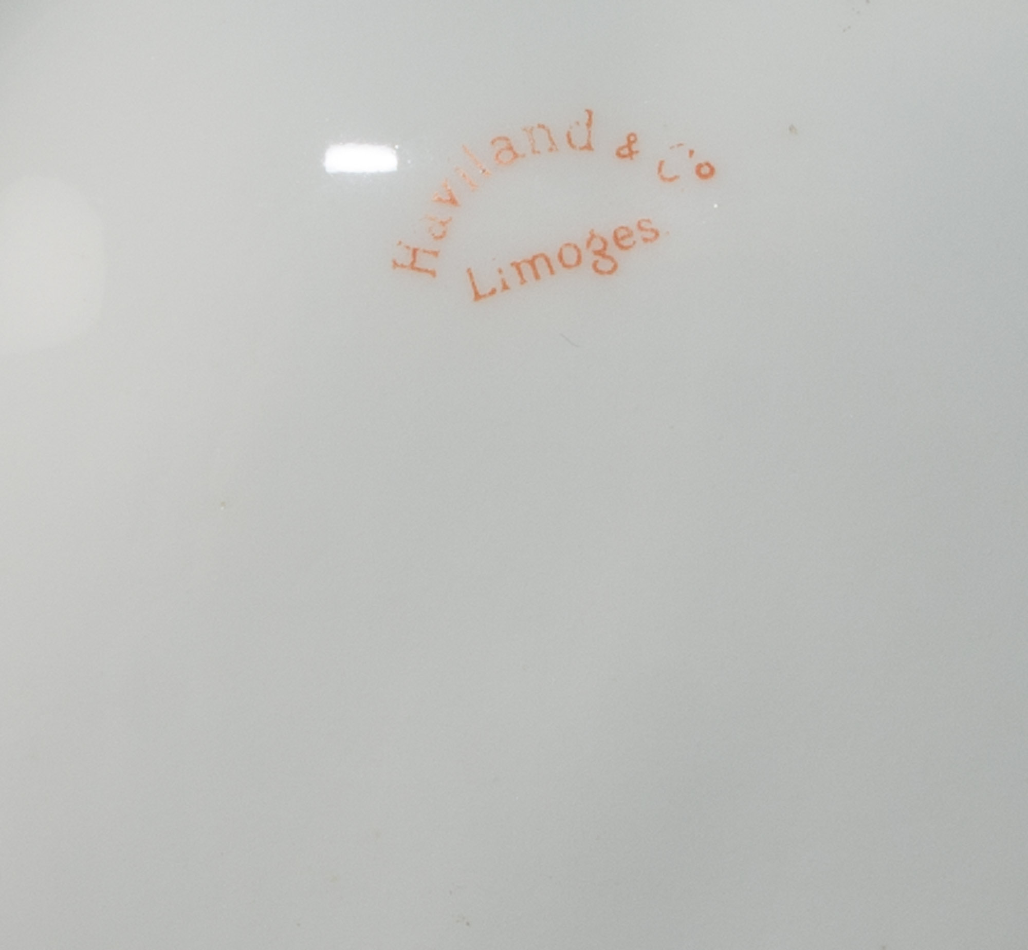 Haviland & Co Limoges Oyster Plates