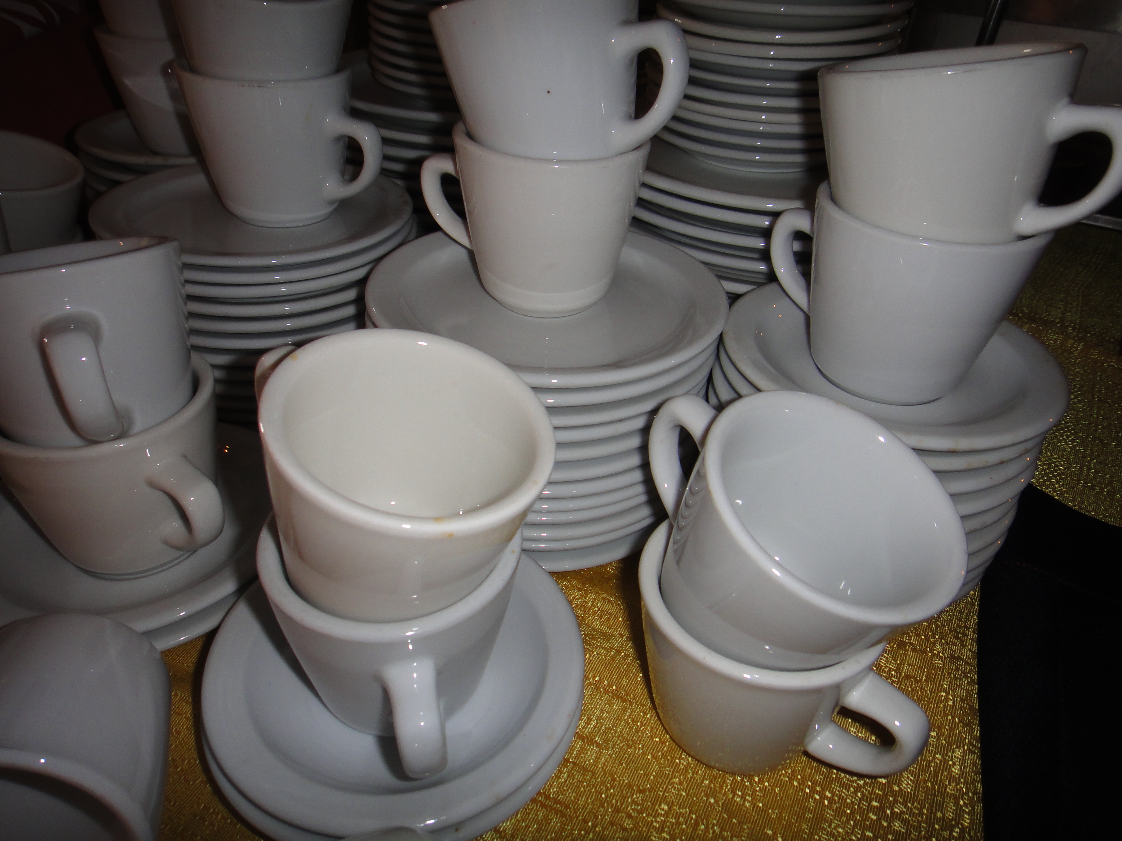 120 Pieces Rego Restaurant Ware China