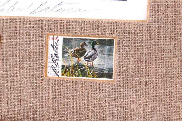 Robert Bateman Limited Edition Signed Duck Hunting Stamp