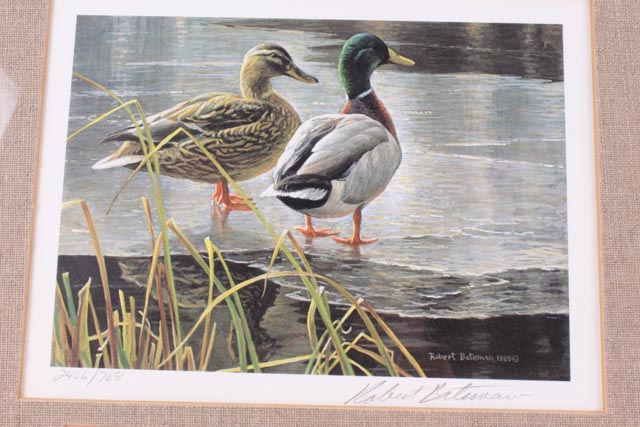 Robert Bateman Limited Edition Signed Duck Hunting Stamp