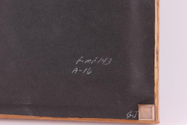 Robert Bateman Limited Edition Signed Duck Hunting Stamp