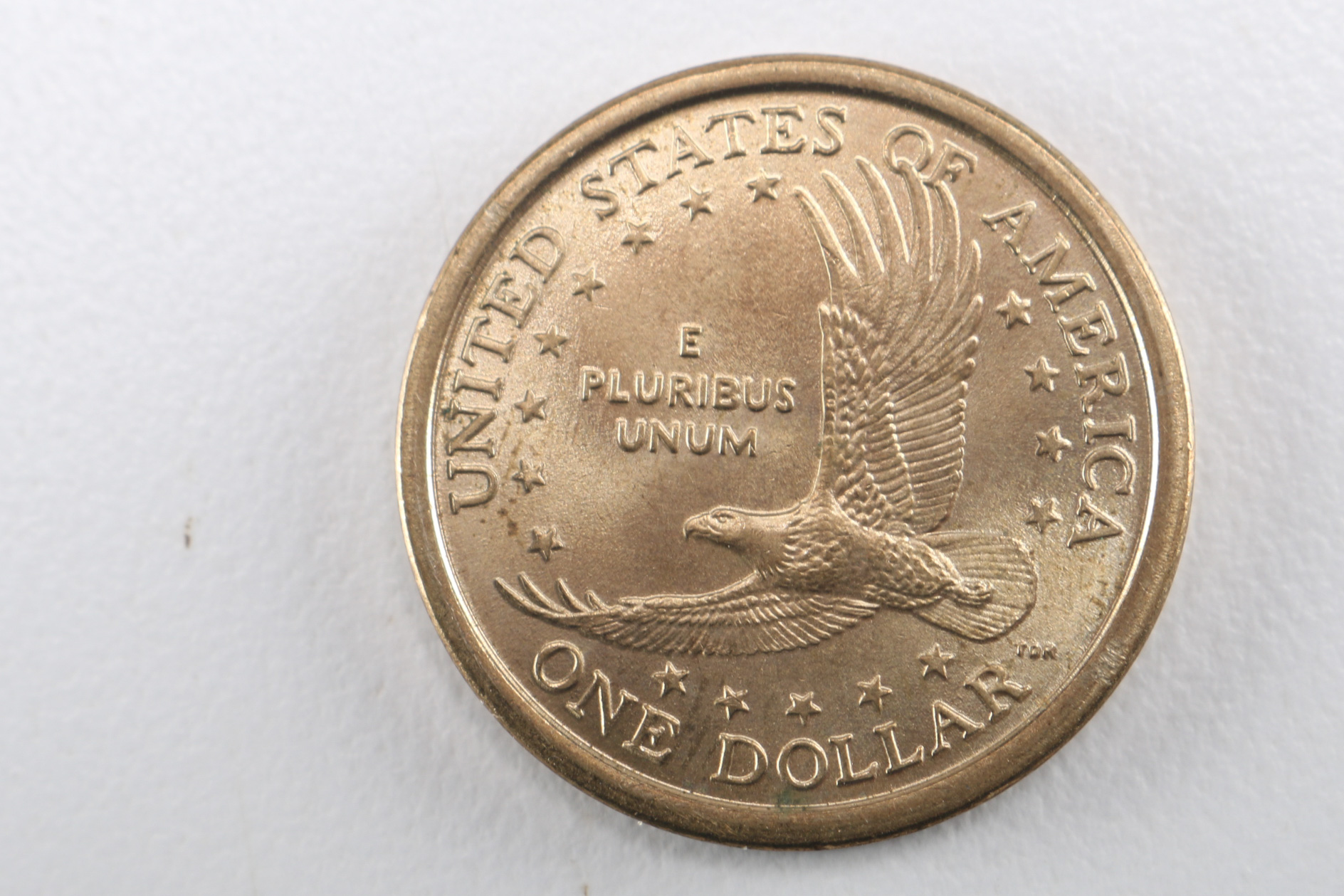 2001 Sacagawea Dollar Coin
