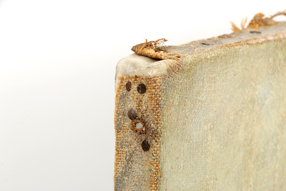 Oil Painting Still Life by Belle Hoffman