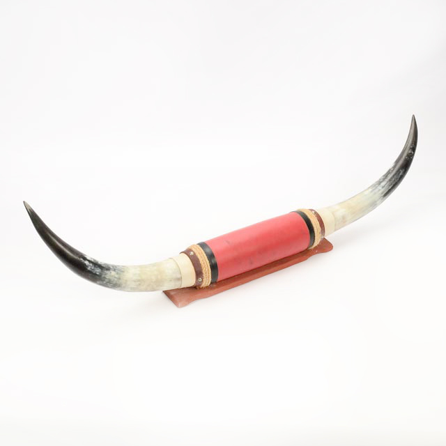 Mounted Longhorn Steer Horns
