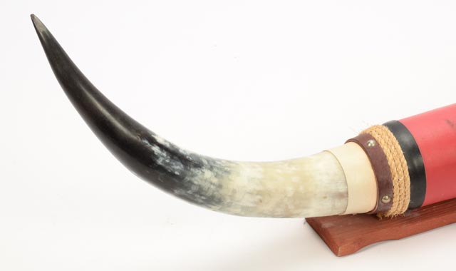 Mounted Longhorn Steer Horns