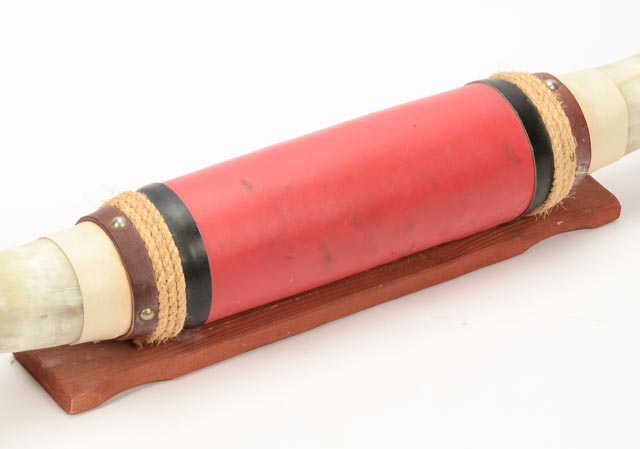 Mounted Longhorn Steer Horns