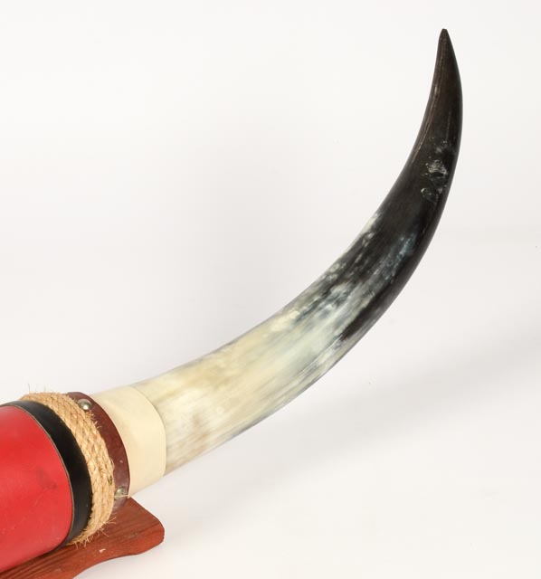 Mounted Longhorn Steer Horns