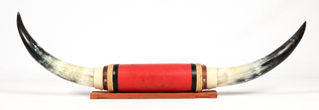 Mounted Longhorn Steer Horns