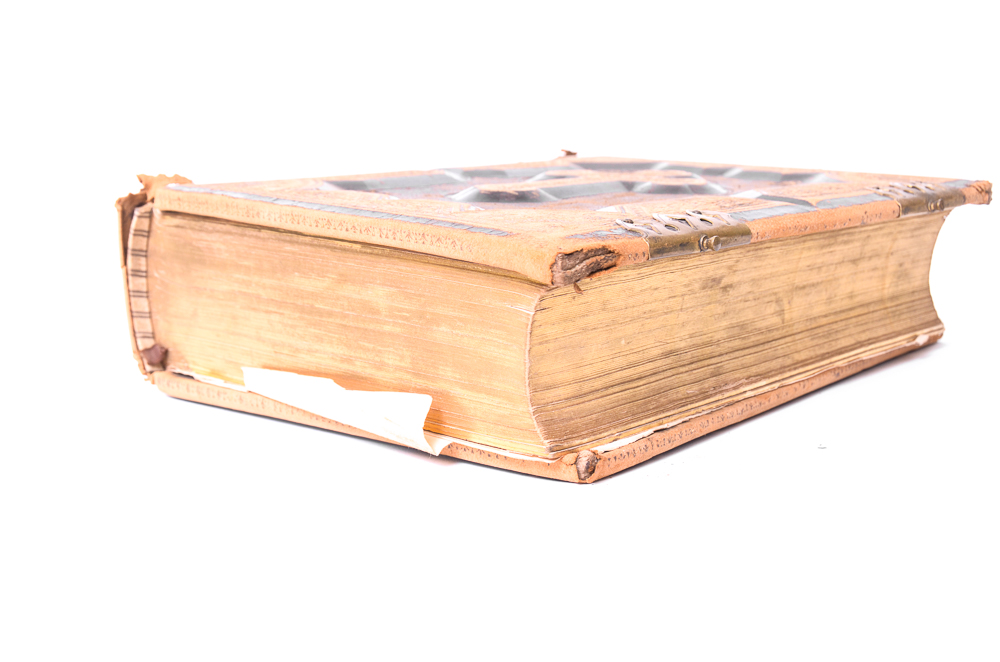 Antique 1878 Douay-Rheims Bible Published by Thomas Kelly