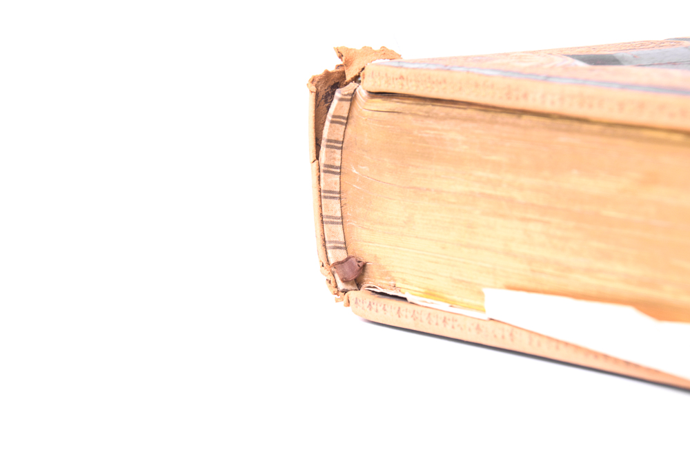 Antique 1878 Douay-Rheims Bible Published by Thomas Kelly